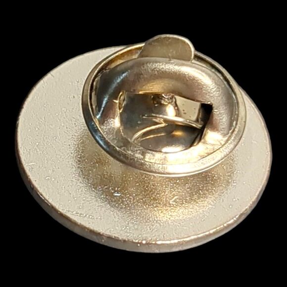 Corrections Corporation Of America Tennessee Keychain and 2 Unique Pins Lapel - Picture 8 of 8